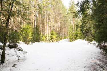 Similar image 6209762