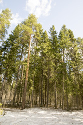 Similar image 6209763