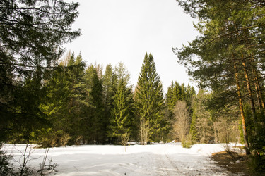 Similar image 6209764