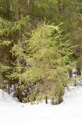 Similar image 6209765