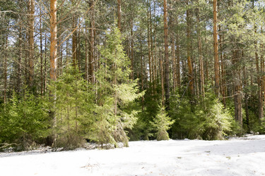 Similar image 6209766