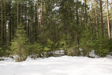 Similar image 6209767