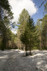 Similar image 6209768