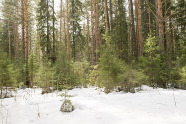 Similar image 6209769