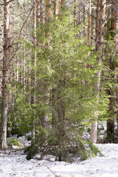 Similar image 6209770