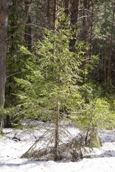 Similar image 6209772