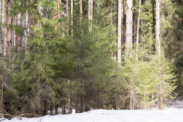 Similar image 6209773