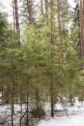 Similar image 6209774