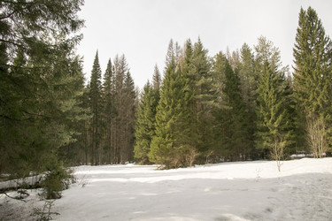 Similar image 6209775