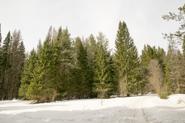 Similar image 6209796