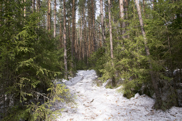 Similar image 6209797