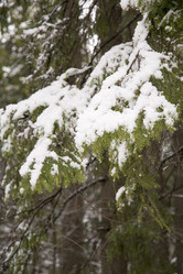 Similar image 6209798