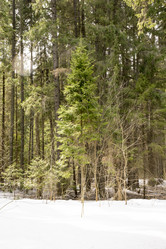 Similar image 6209799