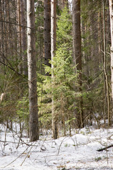 Similar image 6209800