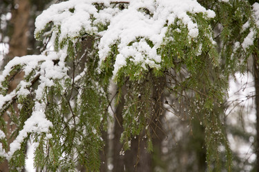 Similar image 6209801