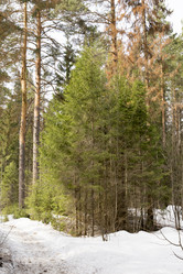 Similar image 6209802