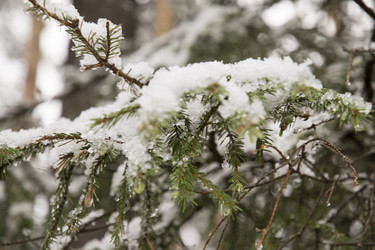 Similar image 6209803