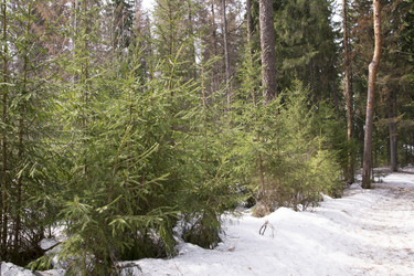 Similar image 6209804