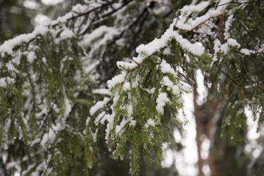 Similar image 6209805