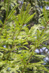 Similar image 6209806