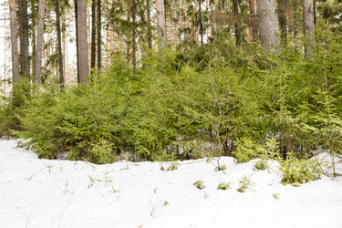 Similar image 6209808