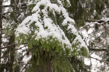 Similar image 6209809