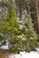 Similar image 6209810