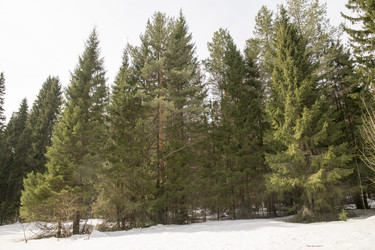 Similar image 6209811