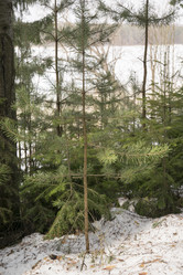 Similar image 6209812