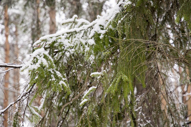 Similar image 6209813