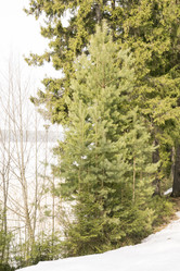 Similar image 6209814