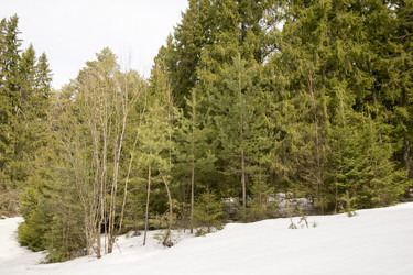 Similar image 6209816