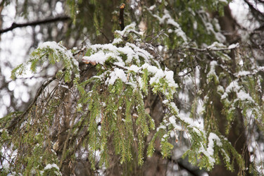 Similar image 6209817