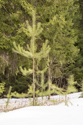 Similar image 6209818