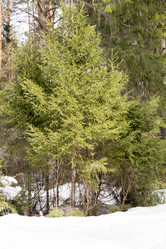 Similar image 6209820