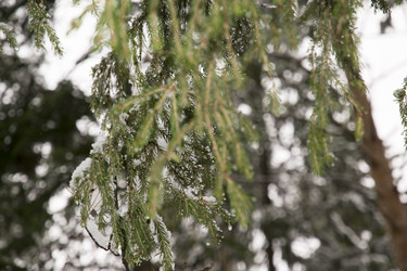 Similar image 6209823