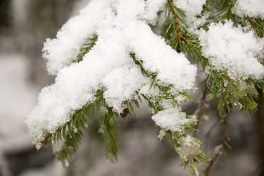 Similar image 6209825