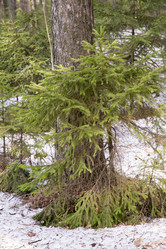 Similar image 6209826