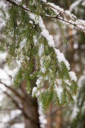 Similar image 6209827