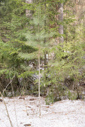 Similar image 6209828