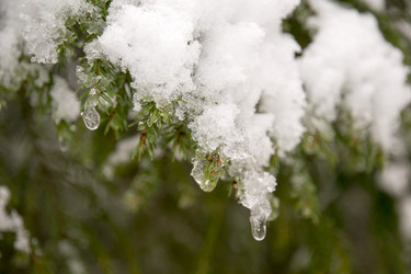 Similar image 6209829