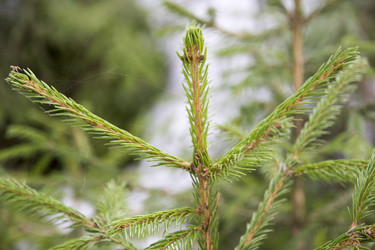 Similar image 6209830