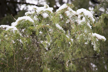 Similar image 6209831