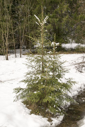 Similar image 6209832