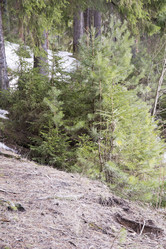 Similar image 6209833