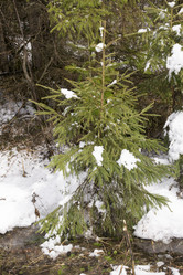 Similar image 6209834