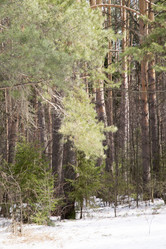 Similar image 6209835