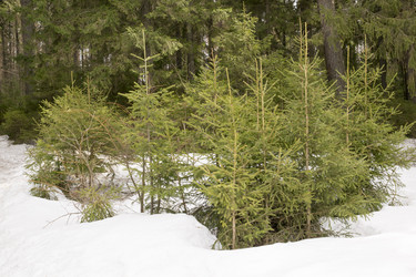 Similar image 6209839