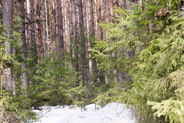 Similar image 6209841