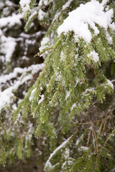 Similar image 6209844